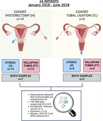 The female upper reproductive tract harbors endogenous microbial profiles